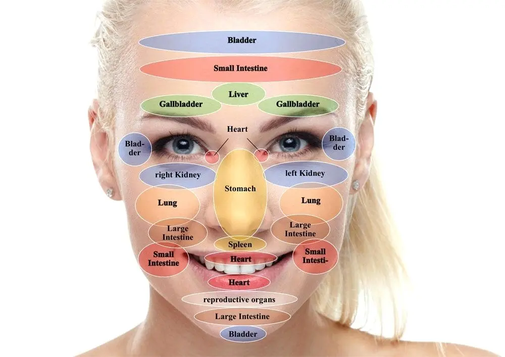 Facial Reflexology mapping diagram
